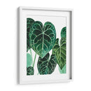 Anturio - Blanca Aurora | Cuadro decorativo de Canvas Lab