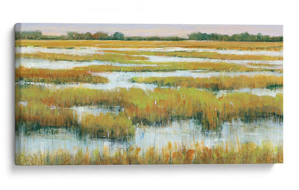 Sereno Marshland Ii - Tim OToole | Cuadro decorativo de Canvas Lab