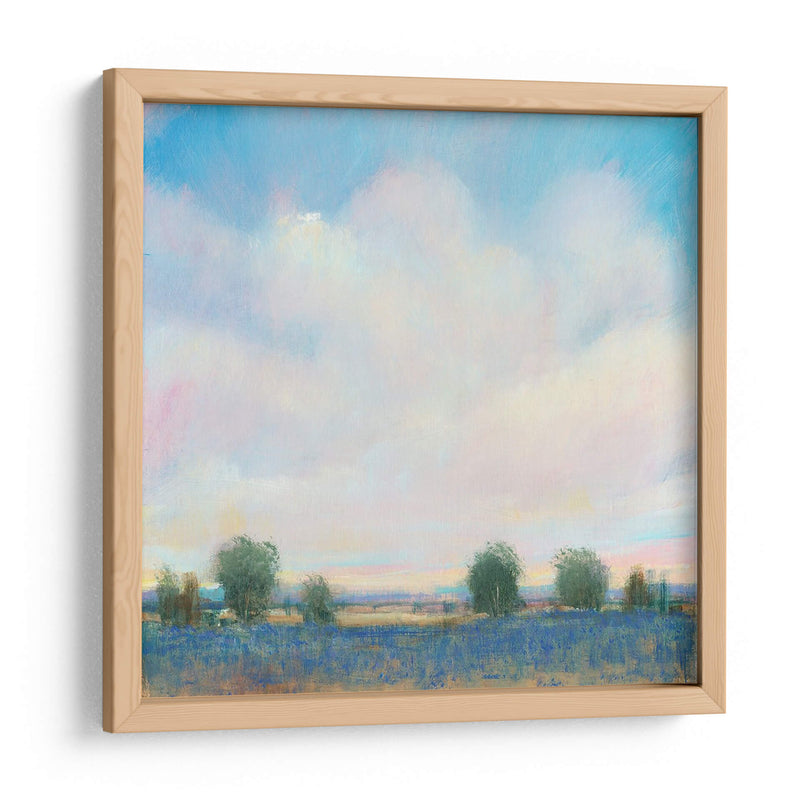 Sky Summer Ii - Tim OToole | Cuadro decorativo de Canvas Lab