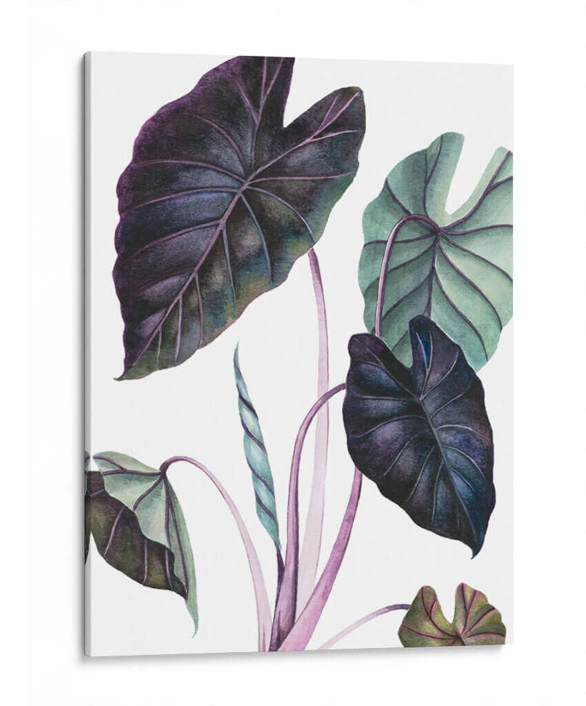 Black Magic - Blanca Aurora | Cuadro decorativo de Canvas Lab