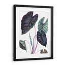 Black Magic - Blanca Aurora | Cuadro decorativo de Canvas Lab