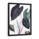 Black Magic - Blanca Aurora | Cuadro decorativo de Canvas Lab