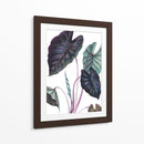 Black Magic - Blanca Aurora | Cuadro decorativo de Canvas Lab