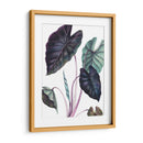 Black Magic - Blanca Aurora | Cuadro decorativo de Canvas Lab