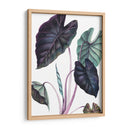 Black Magic - Blanca Aurora | Cuadro decorativo de Canvas Lab