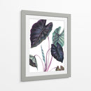 Black Magic - Blanca Aurora | Cuadro decorativo de Canvas Lab