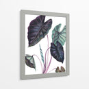 Black Magic - Blanca Aurora | Cuadro decorativo de Canvas Lab