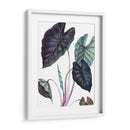 Black Magic - Blanca Aurora | Cuadro decorativo de Canvas Lab