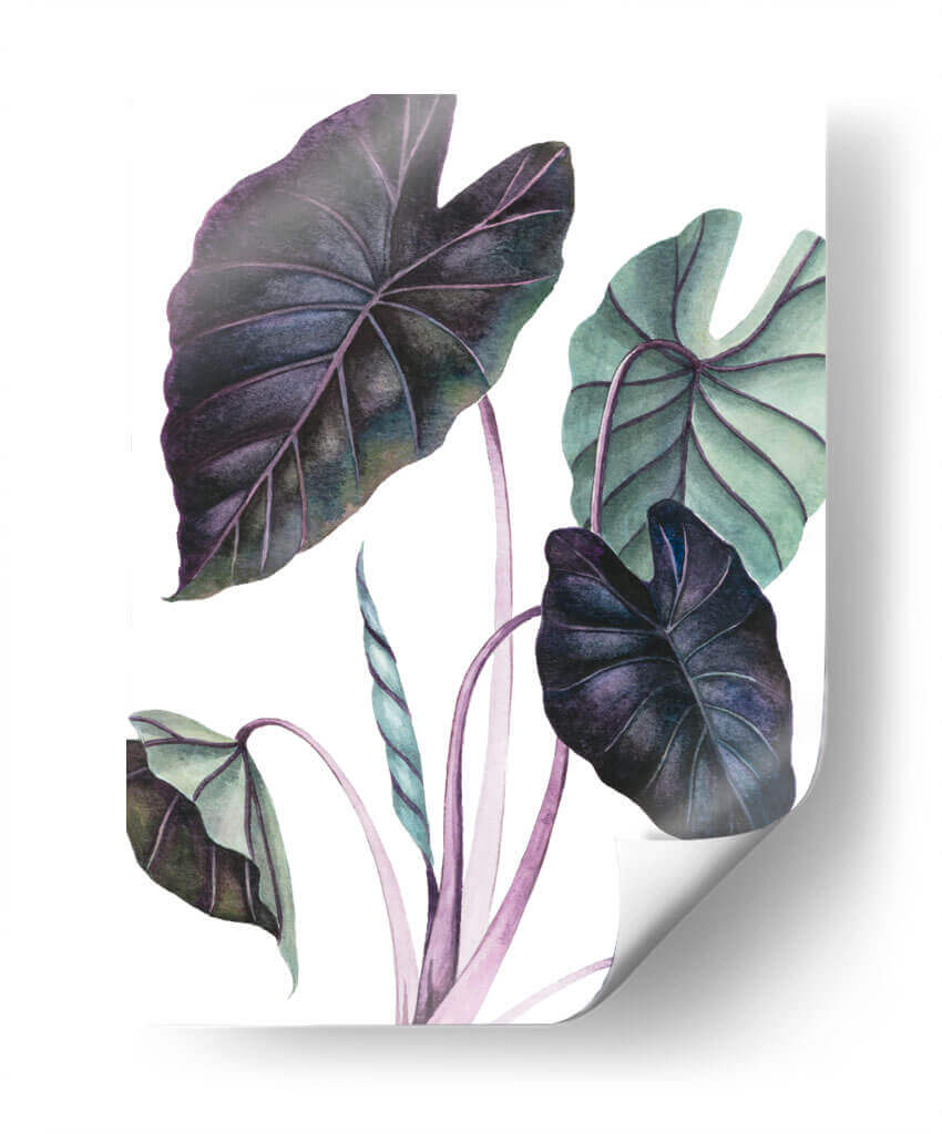 Black Magic - Blanca Aurora | Cuadro decorativo de Canvas Lab