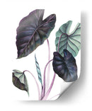 Black Magic - Blanca Aurora | Cuadro decorativo de Canvas Lab