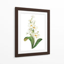 Buttercup - Blanca Aurora | Cuadro decorativo de Canvas Lab