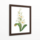 Buttercup - Blanca Aurora | Cuadro decorativo de Canvas Lab
