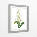 Buttercup - Blanca Aurora | Cuadro decorativo de Canvas Lab