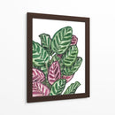 Calathea makoyana - Blanca Aurora | Cuadro decorativo de Canvas Lab