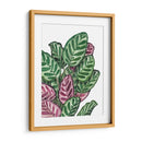 Calathea makoyana - Blanca Aurora | Cuadro decorativo de Canvas Lab