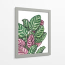 Calathea makoyana - Blanca Aurora | Cuadro decorativo de Canvas Lab
