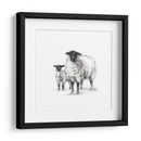 Estudio De Ovejas De Carbón - Ethan Harper | Cuadro decorativo de Canvas Lab
