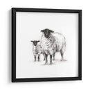 Estudio De Ovejas De Carbón - Ethan Harper | Cuadro decorativo de Canvas Lab