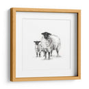 Estudio De Ovejas De Carbón - Ethan Harper | Cuadro decorativo de Canvas Lab