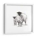 Estudio De Ovejas De Carbón - Ethan Harper | Cuadro decorativo de Canvas Lab