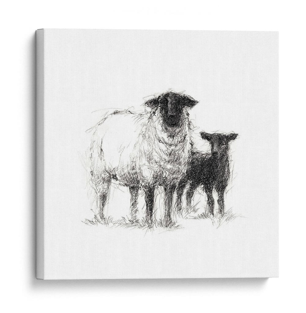 Estudio De Ovejas De Carbón Ii - Ethan Harper | Cuadro decorativo de Canvas Lab