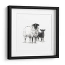 Estudio De Ovejas De Carbón Ii - Ethan Harper | Cuadro decorativo de Canvas Lab
