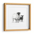 Estudio De Ovejas De Carbón Ii - Ethan Harper | Cuadro decorativo de Canvas Lab