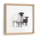 Estudio De Ovejas De Carbón Ii - Ethan Harper | Cuadro decorativo de Canvas Lab