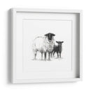 Estudio De Ovejas De Carbón Ii - Ethan Harper | Cuadro decorativo de Canvas Lab