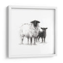 Estudio De Ovejas De Carbón Ii - Ethan Harper | Cuadro decorativo de Canvas Lab