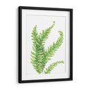 Helecho - Blanca Aurora | Cuadro decorativo de Canvas Lab