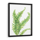 Helecho - Blanca Aurora | Cuadro decorativo de Canvas Lab