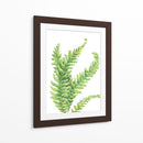 Helecho - Blanca Aurora | Cuadro decorativo de Canvas Lab