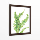 Helecho - Blanca Aurora | Cuadro decorativo de Canvas Lab