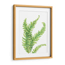 Helecho - Blanca Aurora | Cuadro decorativo de Canvas Lab