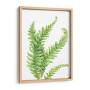 Helecho - Blanca Aurora | Cuadro decorativo de Canvas Lab