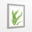 Helecho - Blanca Aurora | Cuadro decorativo de Canvas Lab