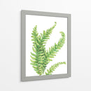 Helecho - Blanca Aurora | Cuadro decorativo de Canvas Lab