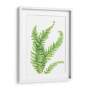 Helecho - Blanca Aurora | Cuadro decorativo de Canvas Lab