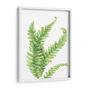 Helecho - Blanca Aurora | Cuadro decorativo de Canvas Lab