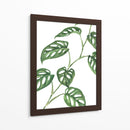 Monstera adansonii - Blanca Aurora | Cuadro decorativo de Canvas Lab