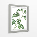 Monstera adansonii - Blanca Aurora | Cuadro decorativo de Canvas Lab