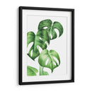 Monstera deliciosa - Blanca Aurora | Cuadro decorativo de Canvas Lab