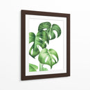 Monstera deliciosa - Blanca Aurora | Cuadro decorativo de Canvas Lab