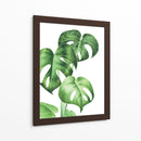 Monstera deliciosa - Blanca Aurora | Cuadro decorativo de Canvas Lab