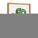 Monstera deliciosa - Blanca Aurora | Cuadro decorativo de Canvas Lab