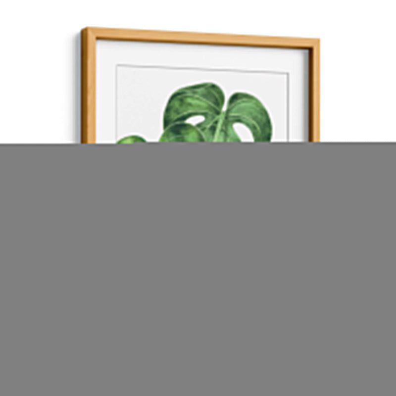 Monstera deliciosa - Blanca Aurora | Cuadro decorativo de Canvas Lab