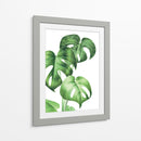 Monstera deliciosa - Blanca Aurora | Cuadro decorativo de Canvas Lab