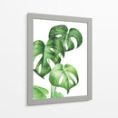 Monstera deliciosa - Blanca Aurora | Cuadro decorativo de Canvas Lab