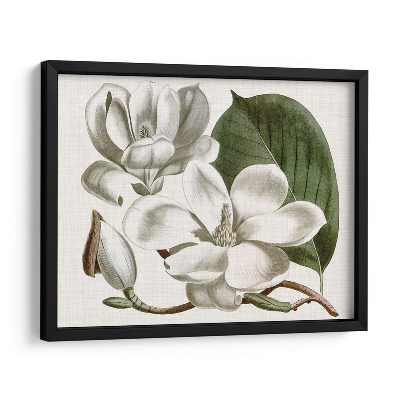 Curtis Magnolia I - Curtis | Cuadro decorativo de Canvas Lab